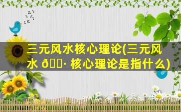 三元风水核心理论(三元风水 🌷 核心理论是指什么)
